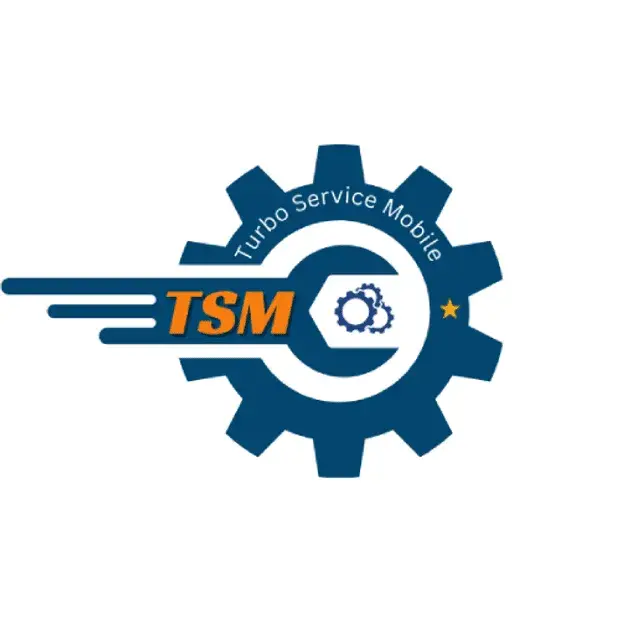 TSM Tool (6 meses)